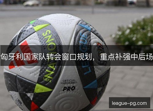 匈牙利国家队转会窗口规划,重点补强中后场 匈牙利国家队转会窗口规划,重点补强中后场